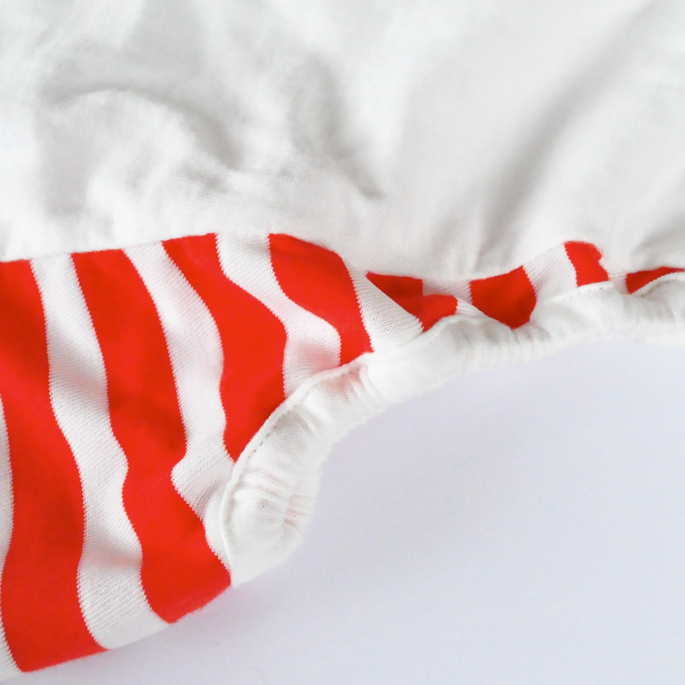 「おっちょこちょいな♡よっちゃんが勘違いして作った！愛犬を蚊から守ろう「フィラリア予防服」feat. イタグレBuono!の香りと少しの毛♡プレゼント」