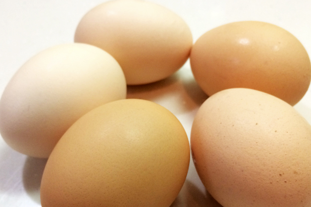 めっちゃ簡単！！卵を５コ使った「ふわふわ半熟オムライス」と「昔ながらの硬めのオムライス」を作ってみた