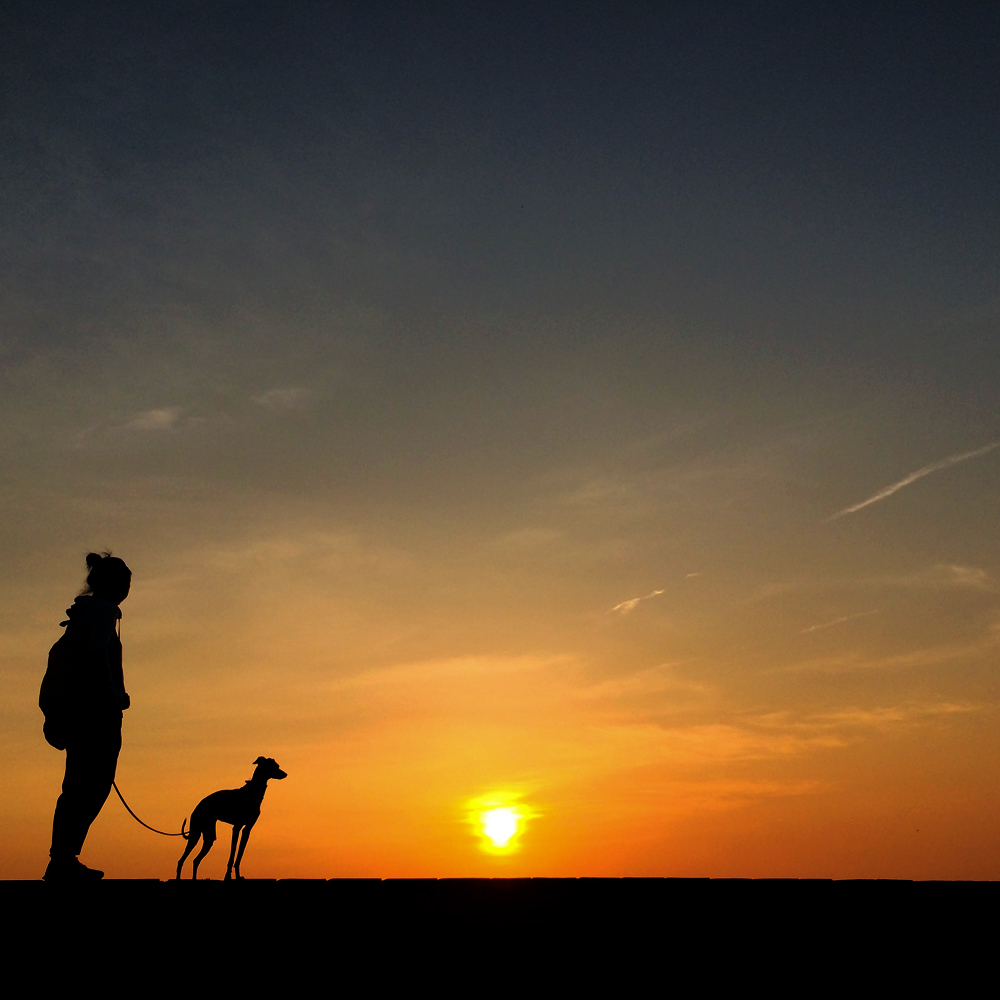 「淡路島の漁港」夕暮れのひととき、釣竿片手に愛犬と散歩に行く。