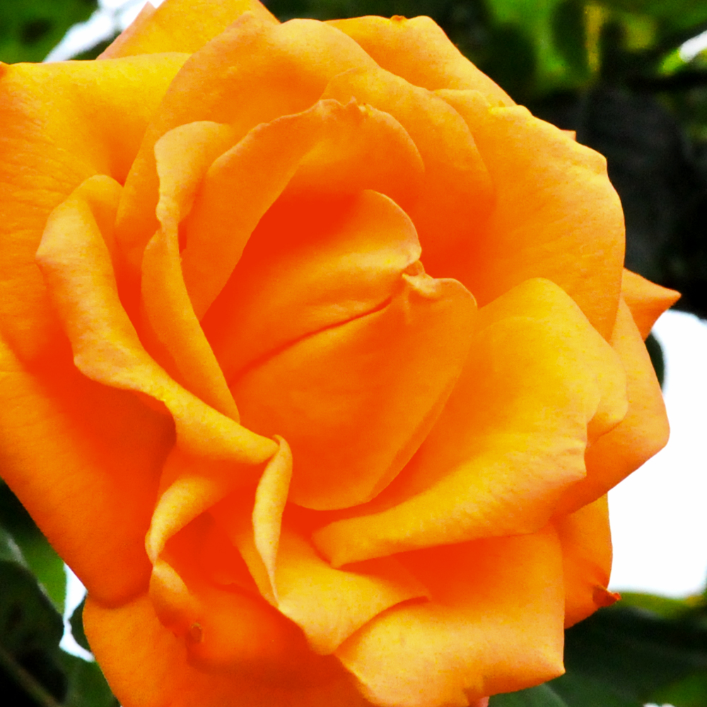 6月1日に感じたこと。「現実と、夢の間にあるもの」