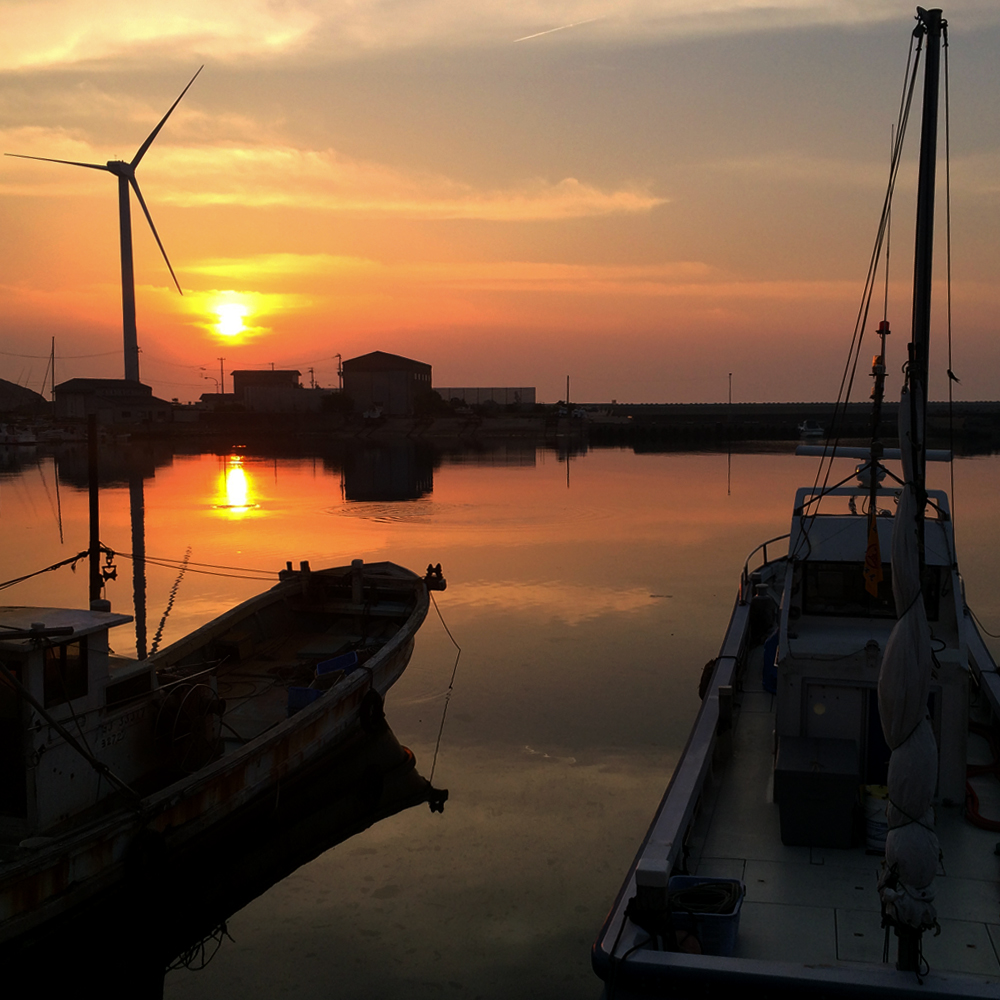 「淡路島の漁港」夕暮れのひととき、釣竿片手に愛犬とに行く。