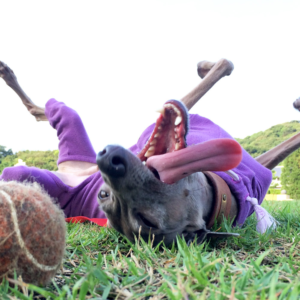 6月1日に感じたこと。「現実と、夢の間にあるもの」