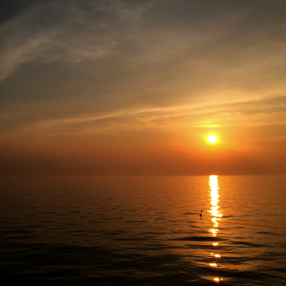 「淡路島の漁港」夕暮れのひととき、釣竿片手に愛犬と散歩に行く。