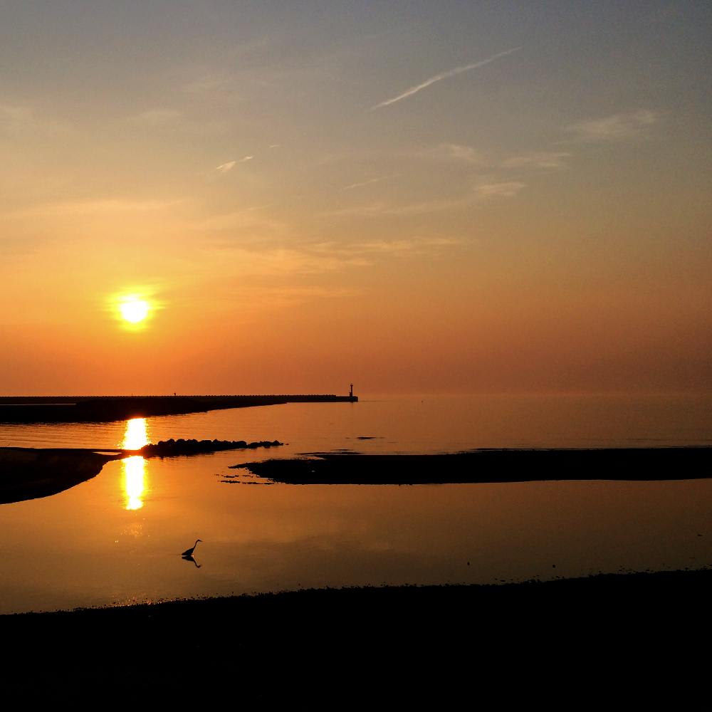 「淡路島の漁港」夕暮れのひととき、釣竿片手に愛犬と散歩に行く。