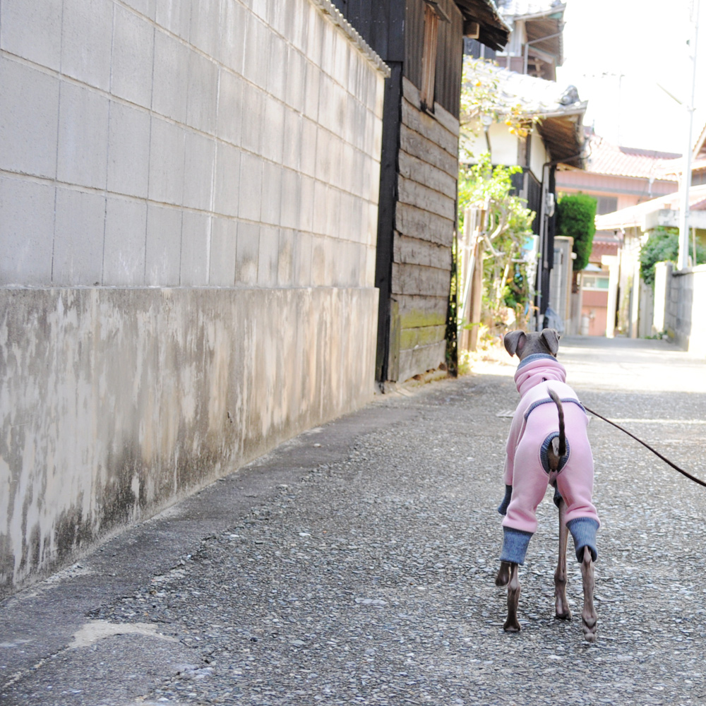 愛犬が安心できる抱き方「野良犬に遭遇したら」「知らない人に抱かせてと言われたら」「怪我をした時は」その抱き方は本当に愛犬の為になっていますか？【犬の飼い主が知ってそうで、知らない大切なこと vol.2】