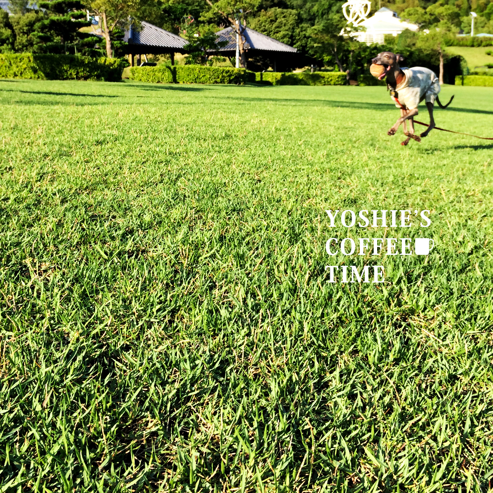produced by 「ケイシイスタイル」のうんちバックがナイ・ω・-YOSHIE’S-COFFEE-TIME