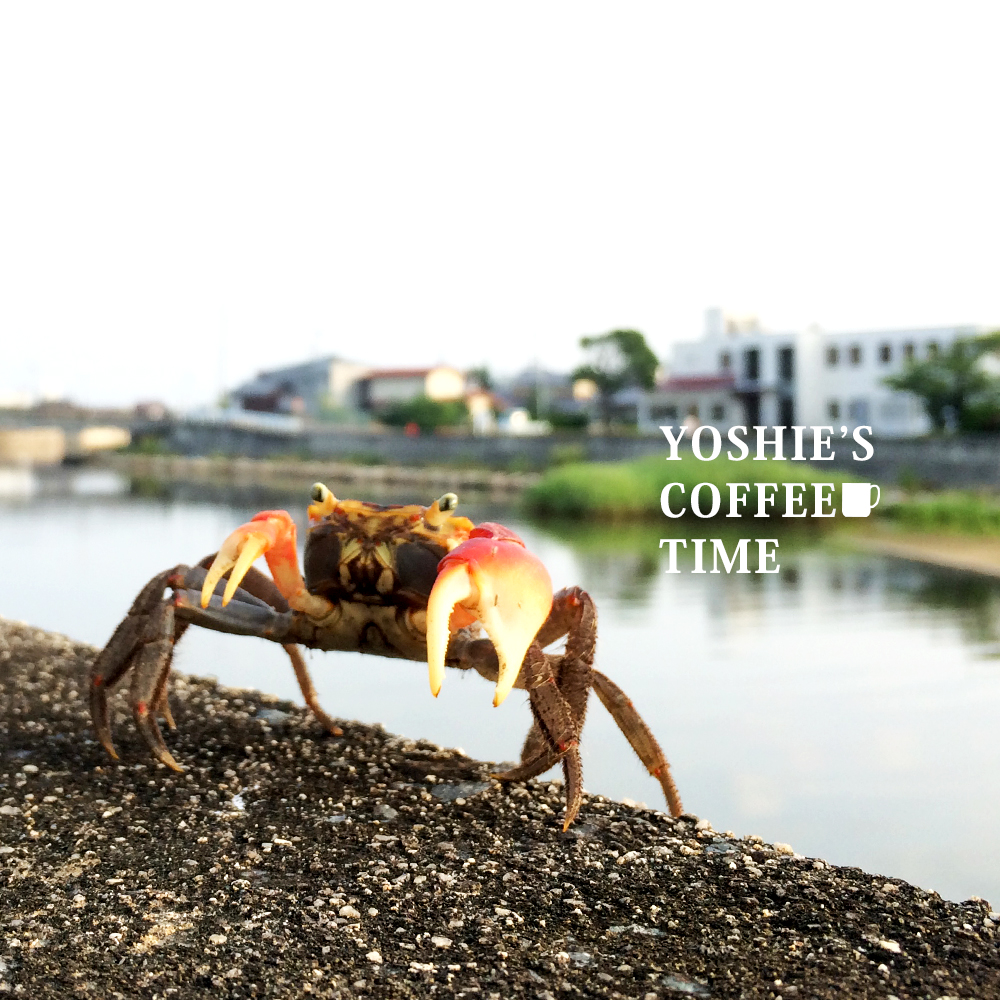 YOSHIE’S-COFFEE-TIME-大大大の苦手なんです！！！