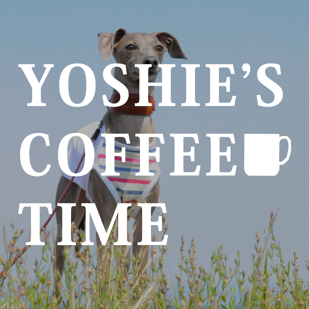 YOSHIE’S-COFFEE-TIME-新作「イタグレ服」販売開始しません?