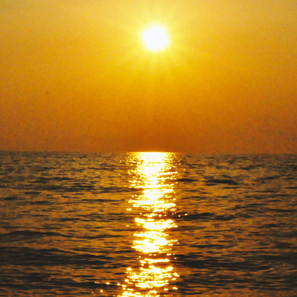 7月1日に感じたこと。「比較対象物」