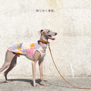 犬服|移りゆく季節|パッチワークインド綿|選べる3タイプ×3カラー(ベージュ/ネイビー/グレイ)
