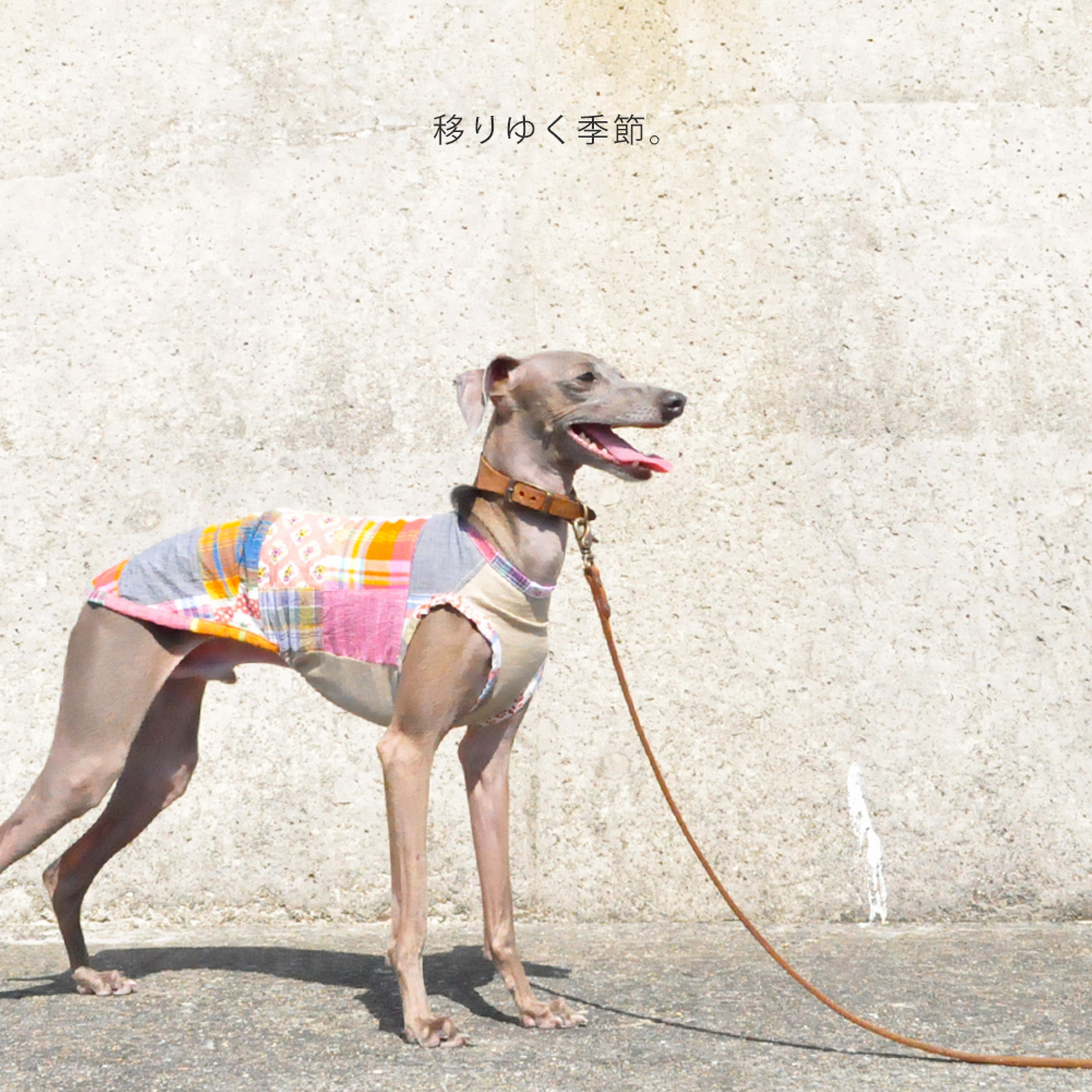 犬服｜移りゆく季節｜パッチワークインド綿｜選べる３タイプ×３カラー（ベージュ/ネイビー/グレイ）