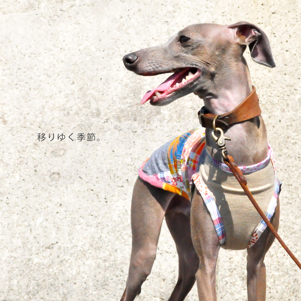 犬服｜移りゆく季節｜パッチワークインド綿｜選べる３タイプ×３カラー（ベージュ/ネイビー/グレイ）