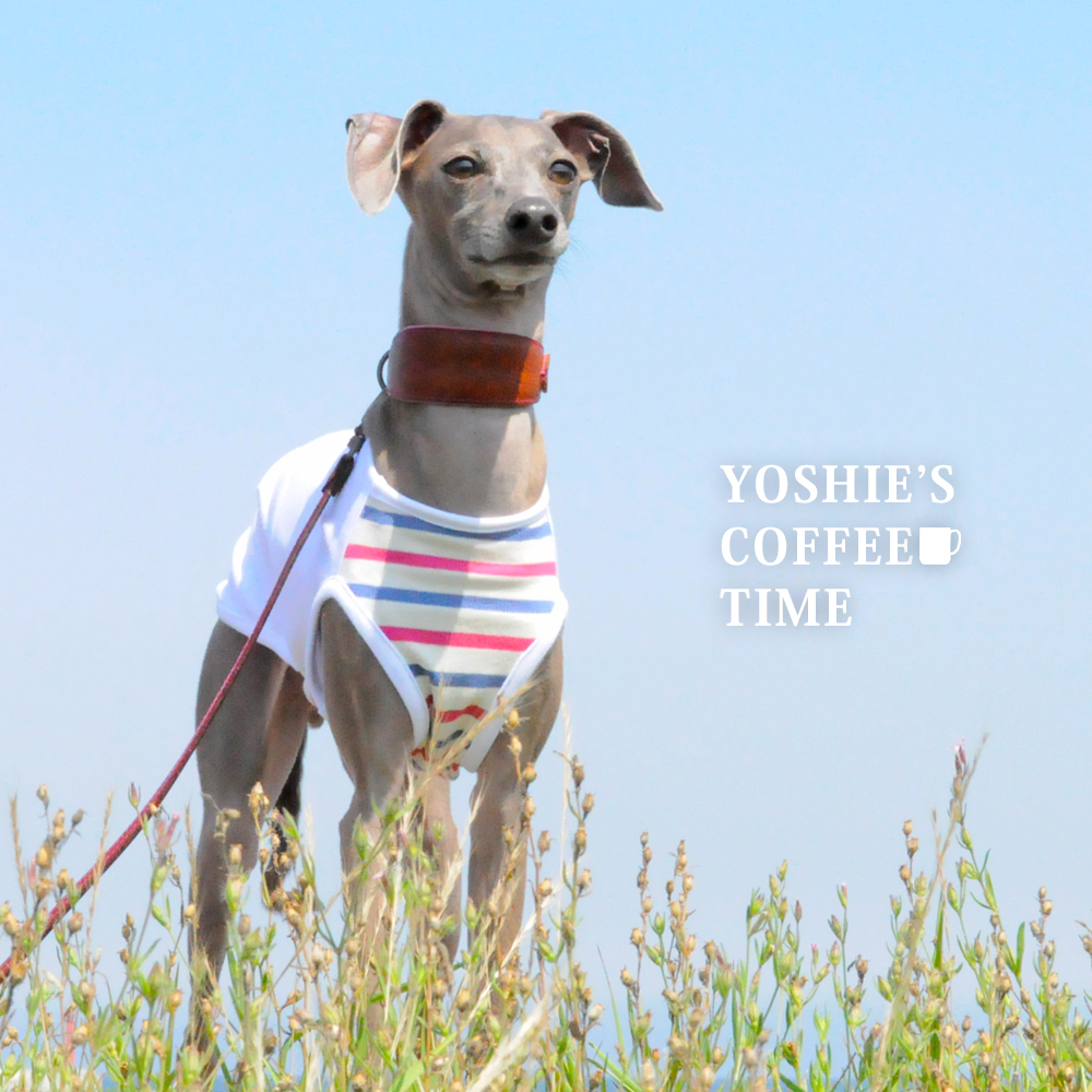YOSHIE’S-COFFEE-TIME-新作「イタグレ服」販売開始しません?