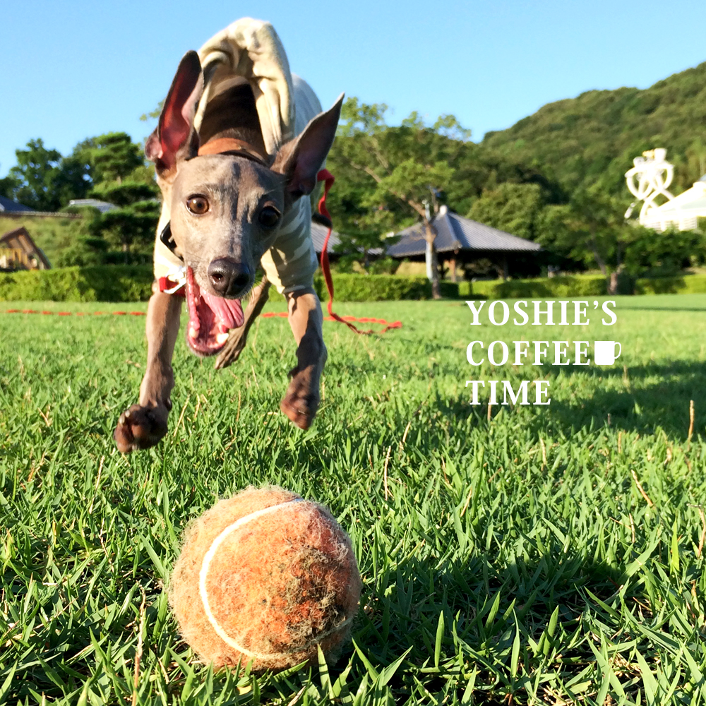 produced by 「ケイシイスタイル」のうんちバックがナイ・ω・-YOSHIE’S-COFFEE-TIME
