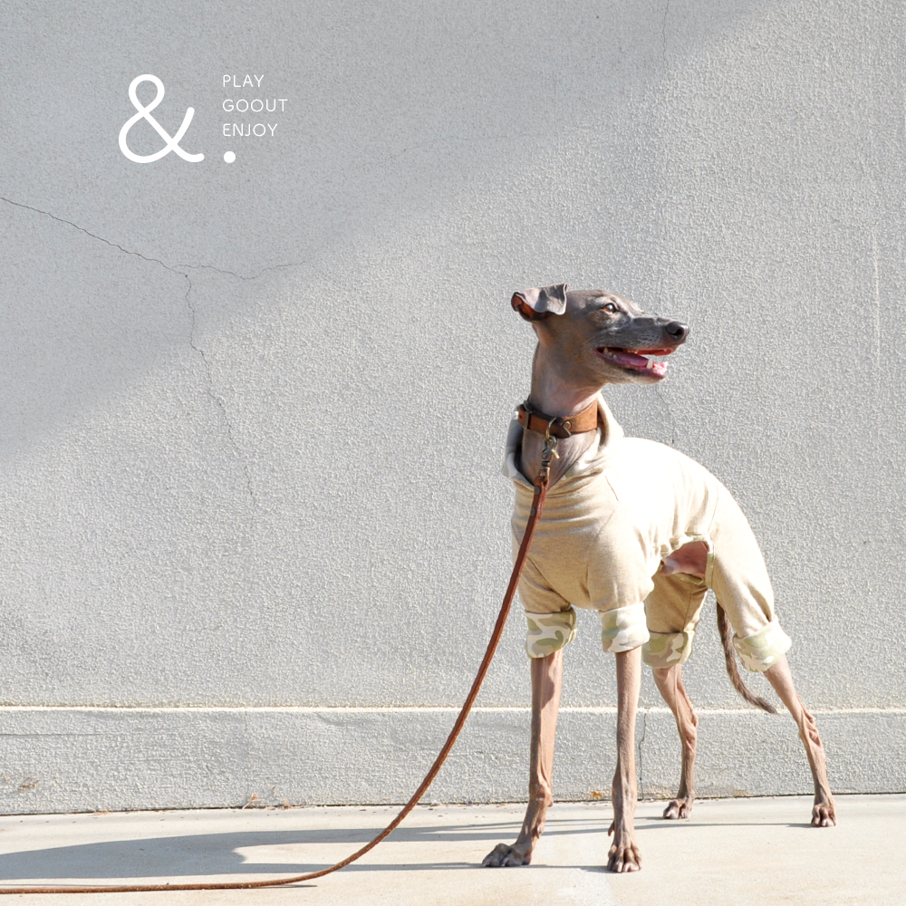 2016 秋冬新作犬服「&.」あなたと、変わる。｜無地×いろいろ選べる裏地「2WAYカスタマイズ可能」