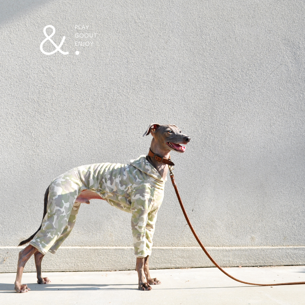 2016 秋冬新作犬服「&.」あなたと、変わる。｜無地×いろいろ選べる裏地「2WAYカスタマイズ可能」