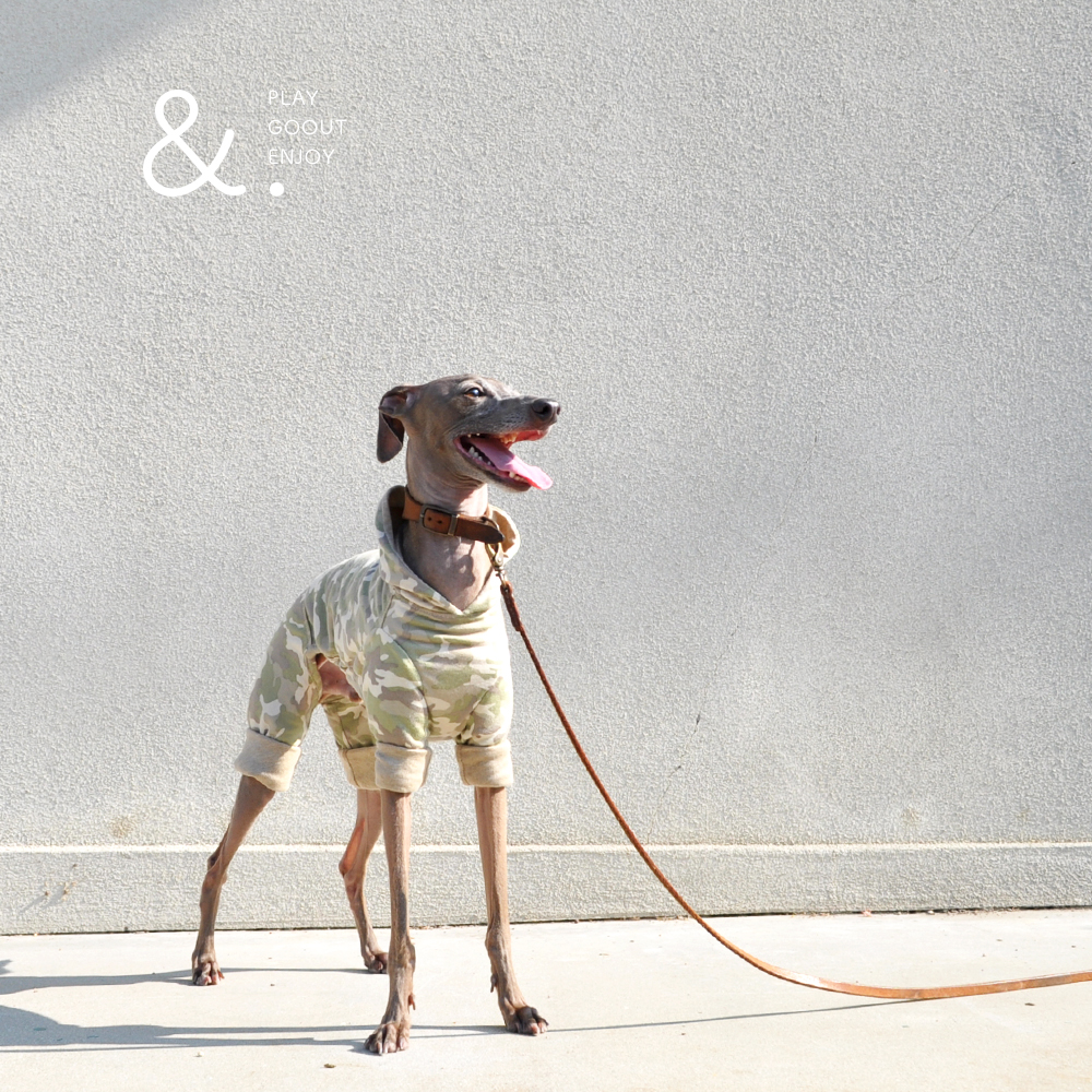 2016 秋冬新作犬服「&.」あなたと、変わる。｜無地×いろいろ選べる裏地「2WAYカスタマイズ可能」