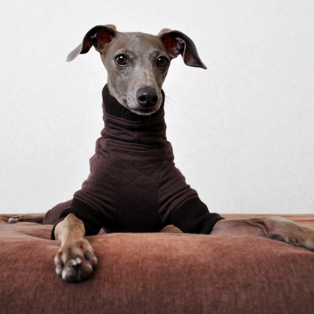 「犬服 イタグレ服 ミニピン服」2016年 秋冬新作 ”ぬくぬく、あったか。” 中綿キルト「一緒に暮らす人も心地いい。」