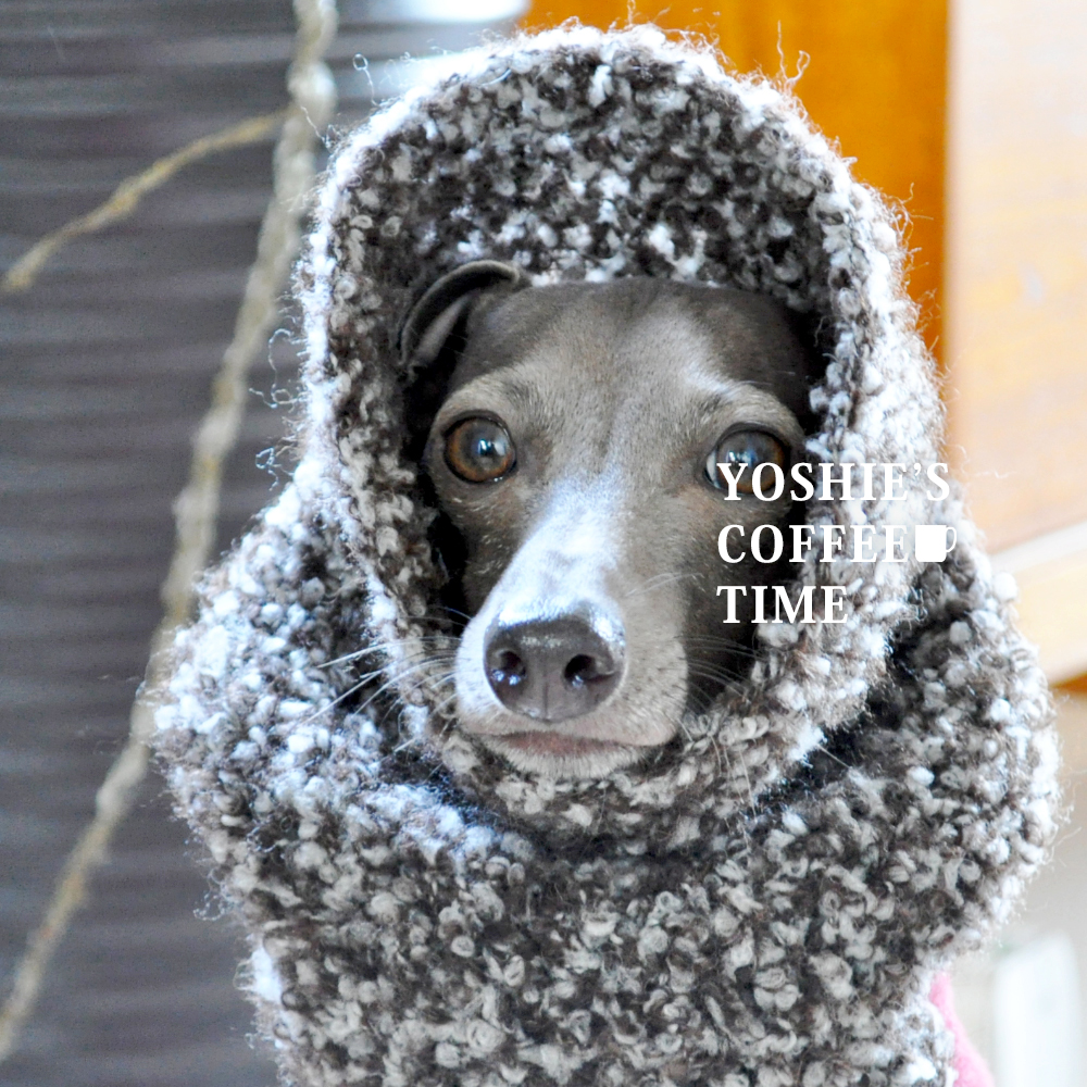 YOSHIE’S-COFFEE-TIME-愛犬の秋冬服をご注文の前に