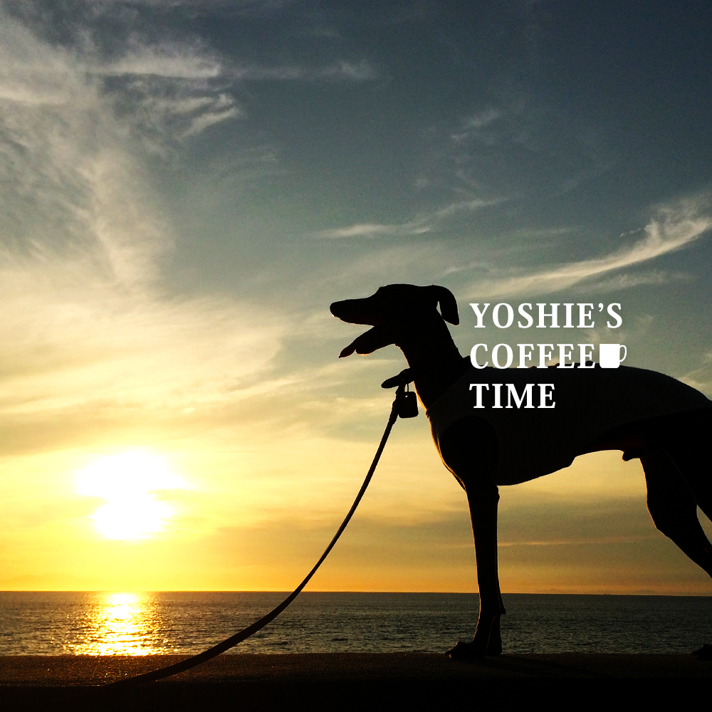 YOSHIE’S-COFFEE-TIME-散歩中1kmは走ることにした