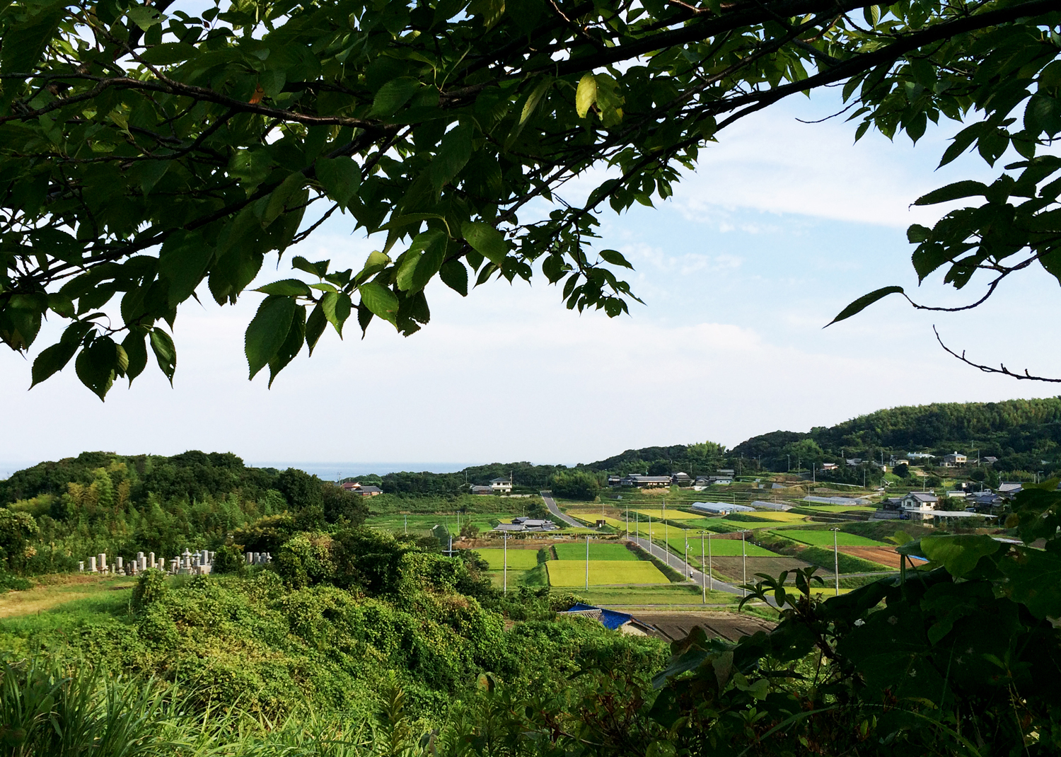 9月1日に感じたこと。「人生に山も谷もない。」