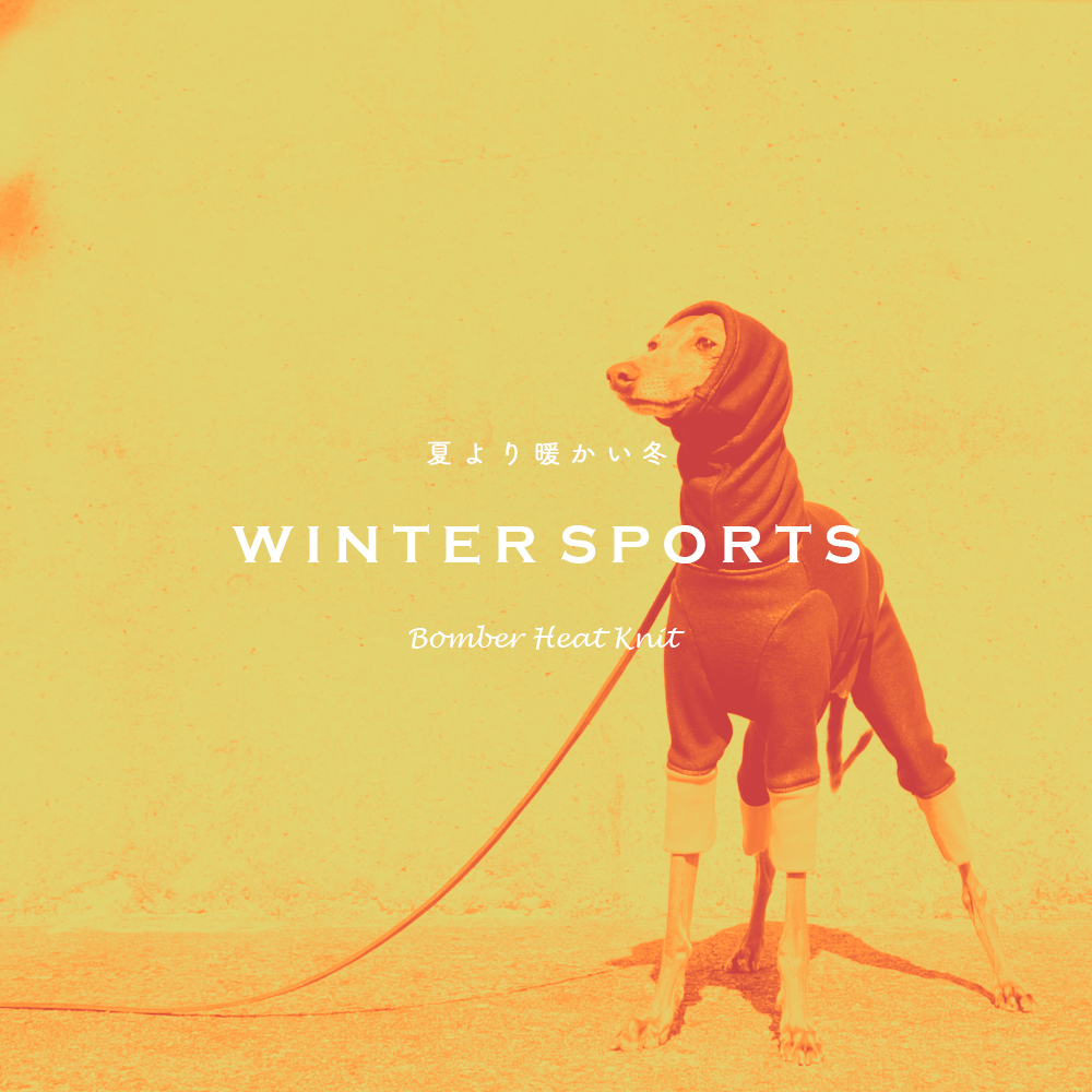 「冬の新作犬服」夏より暖かい冬ウィンタースポーツ|裏起毛ボンバーヒートニット（保温）