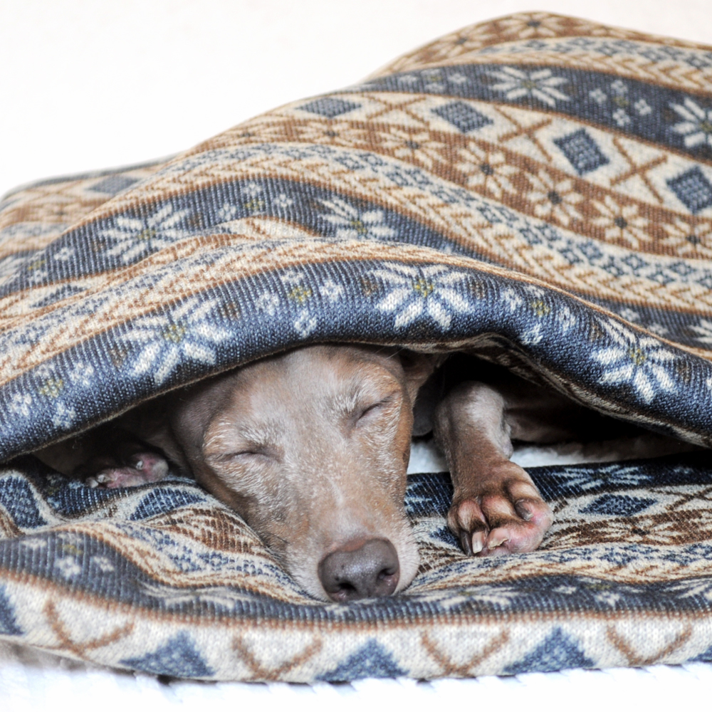 「犬寝袋＆カフェマット」の撮影中もぬくぬく、ねんねzzz｜ふわっと、もこもこ寝袋「保温効果抜群ニットボンディング」｜ジャガードニット裏ボア生地