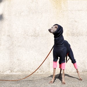「冬の新作犬服」夏より暖かい冬 Winter Sports|裏起毛ボンバーヒートニット(保温)