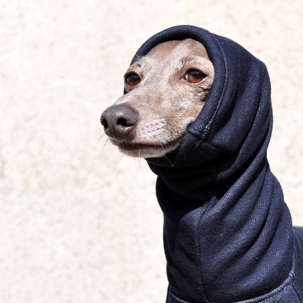 「冬の新作犬服」夏より暖かい冬ウィンタースポーツ|裏起毛ボンバーヒートニット（保温）