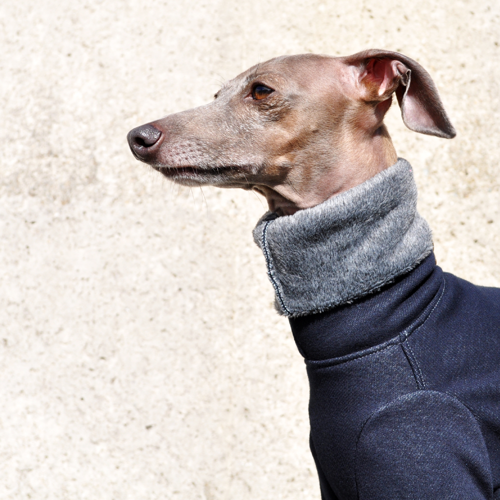 「冬の新作犬服」夏より暖かい冬ウィンタースポーツ|裏起毛ボンバーヒートニット（保温）