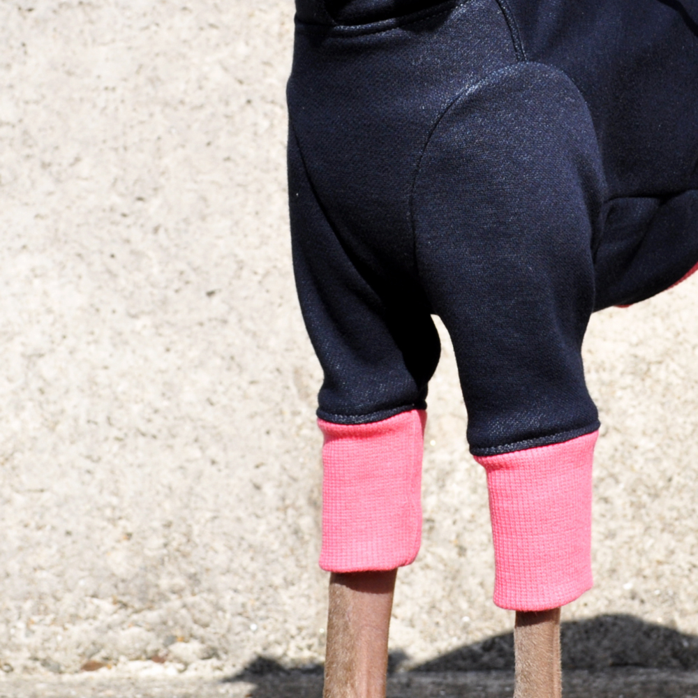 「冬の新作犬服」夏より暖かい冬ウィンタースポーツ|裏起毛ボンバーヒートニット（保温）