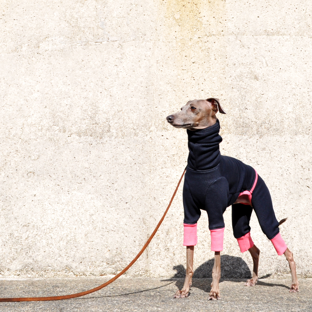 「冬の新作犬服」夏より暖かい冬ウィンタースポーツ|裏起毛ボンバーヒートニット（保温）