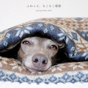 「犬寝袋&カフェマット」の撮影中もぬくぬく、ねんねzzz|ふわっと、もこもこ寝袋「保温効果抜群ニットボンディング」|ジャガードニット裏ボア生地