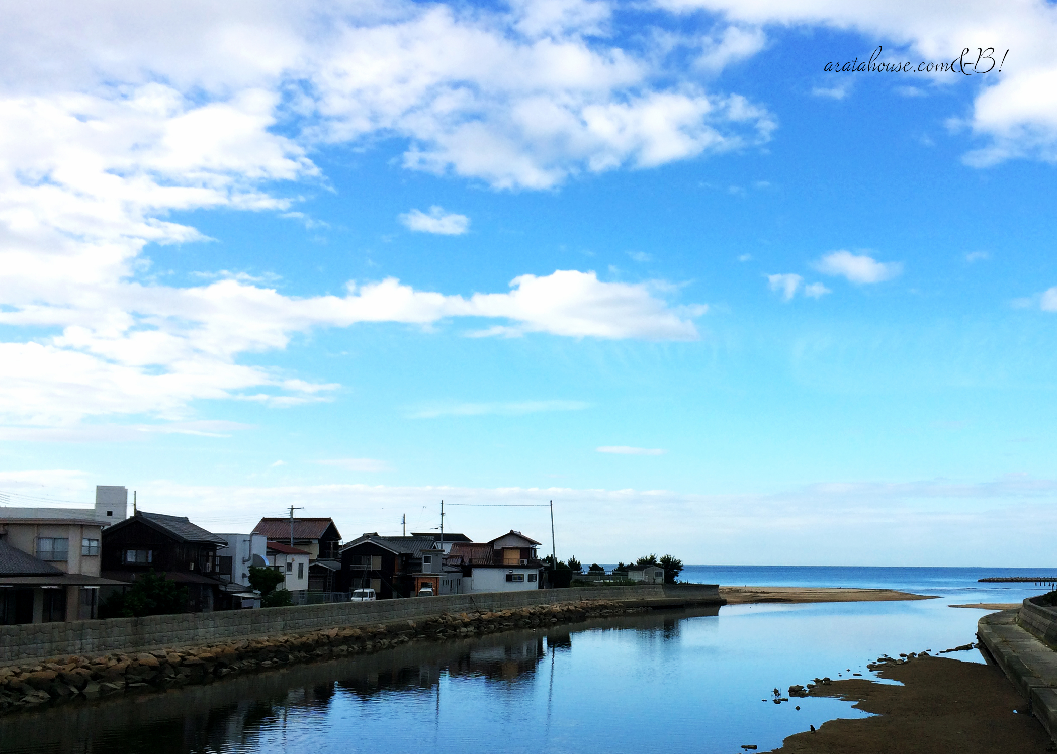 パソコン作業に飽きたので、ランニングへ。家に帰るとイタグレBuono!が、、、