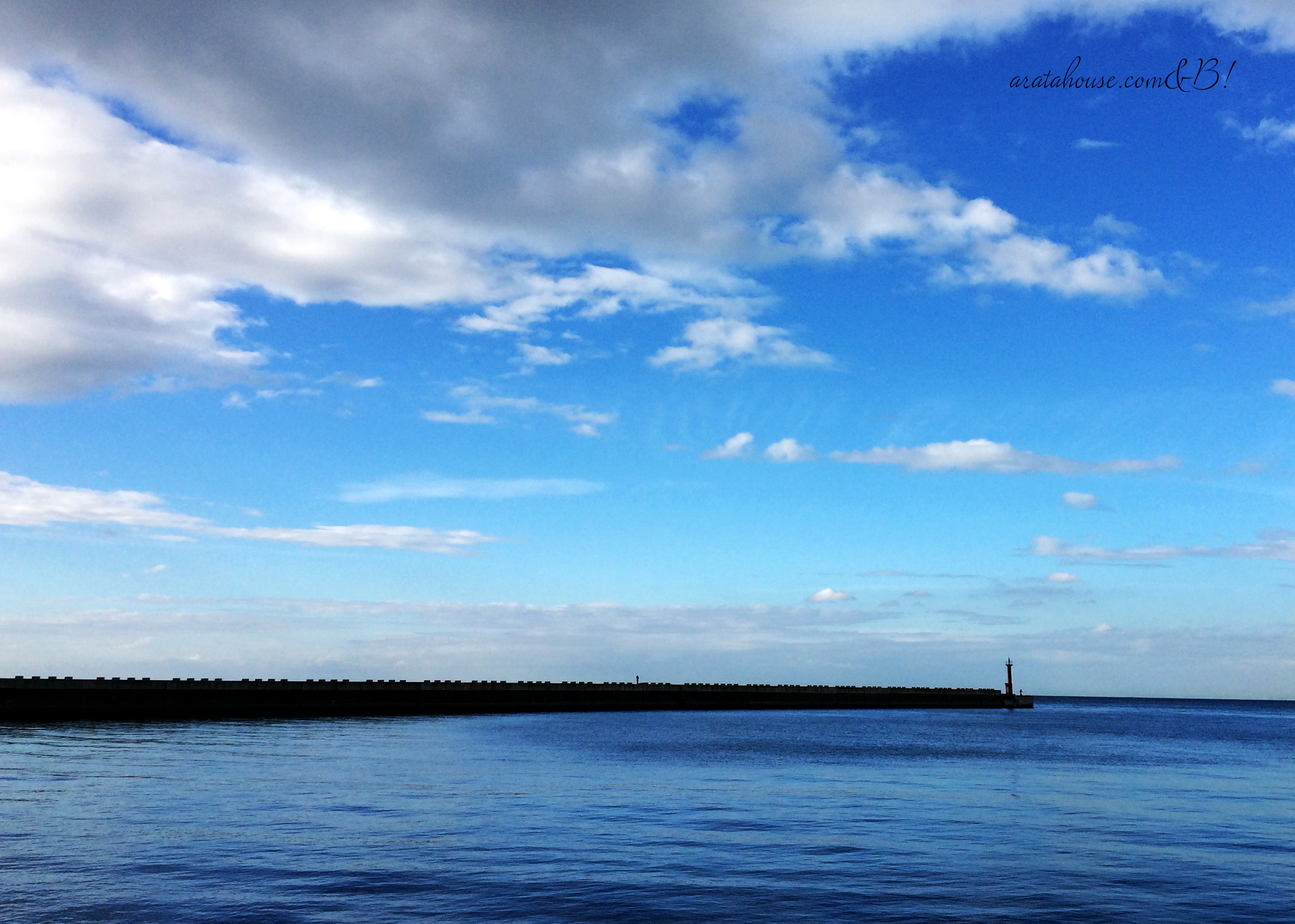 パソコン作業に飽きたので、ランニングへ。家に帰るとイタグレBuono!が、、、