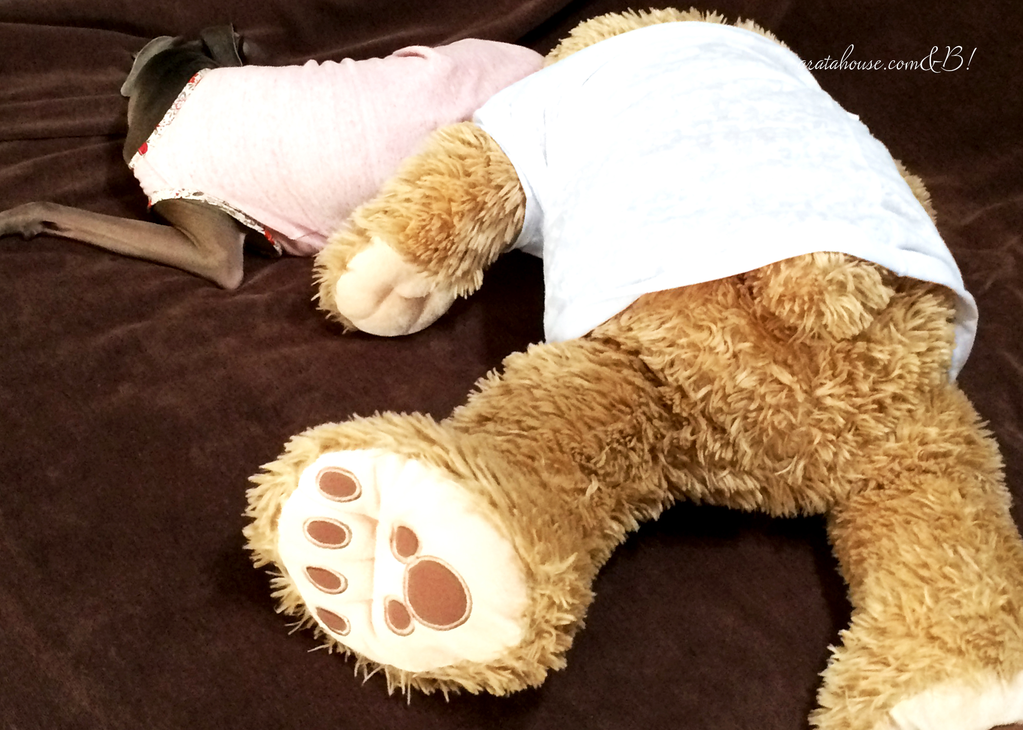 パソコン作業に飽きたので、ランニングへ。家に帰るとイタグレBuono!が、、、