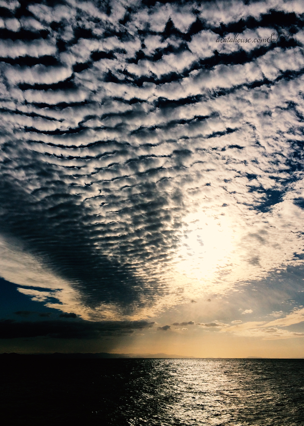 「秋の淡路島を歩く」龍の鱗