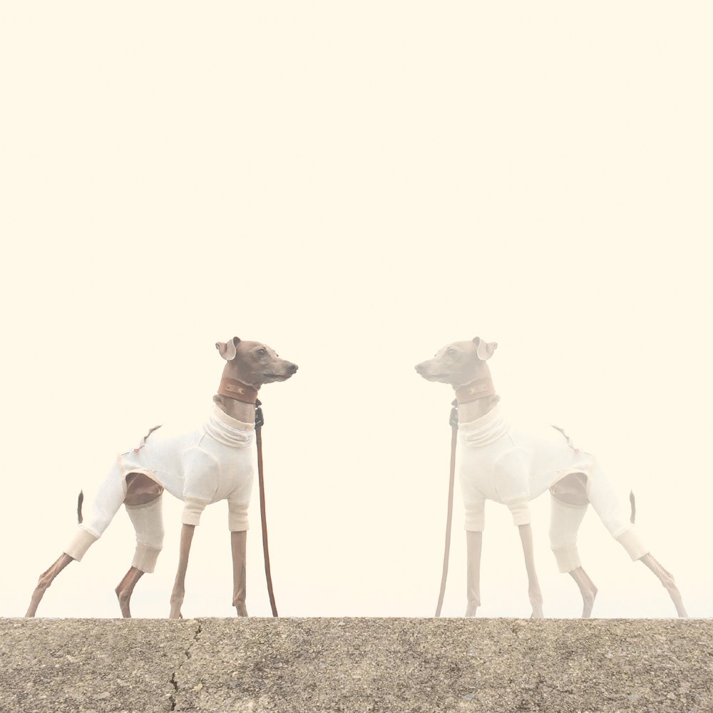 10月1日に感じたこと。「２つの考え」