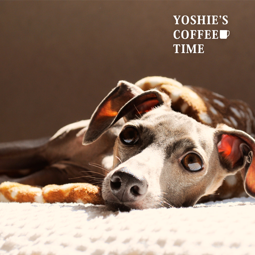 YOSHIE'S COFFEE TIME-手紙