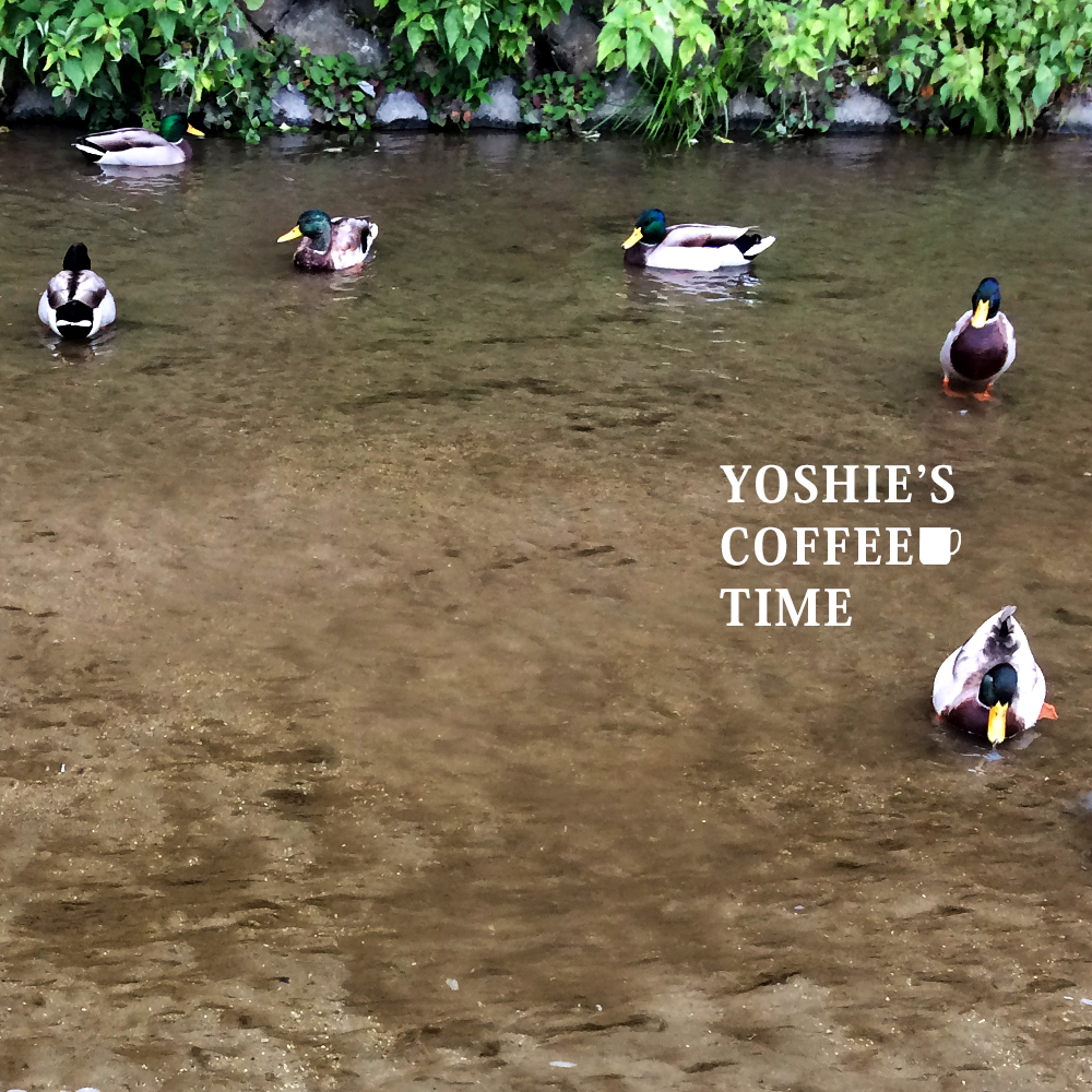 YOSHIE'S COFFEE TIME-秋の京都で見つけた美味しいお店と、7cmヒール。