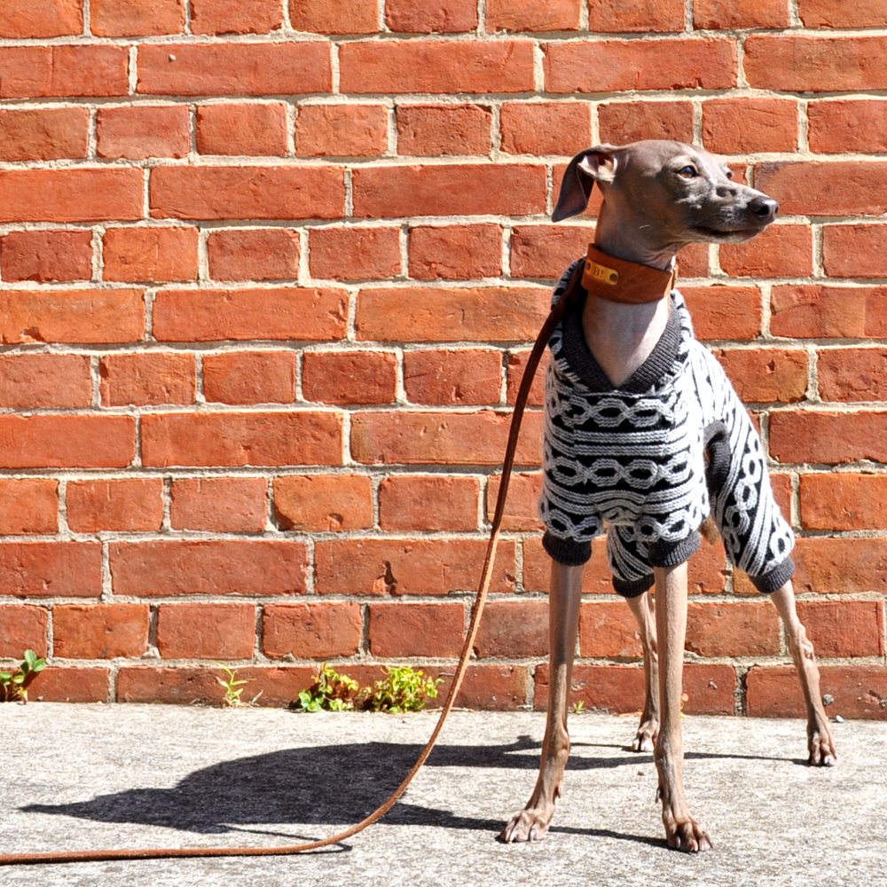 犬服|「Autumn Winter」チェーンストライプ ジャガードニット|選べる3タイプ×3カラー(オータムリーフ/ルージュ/モダンブラック)