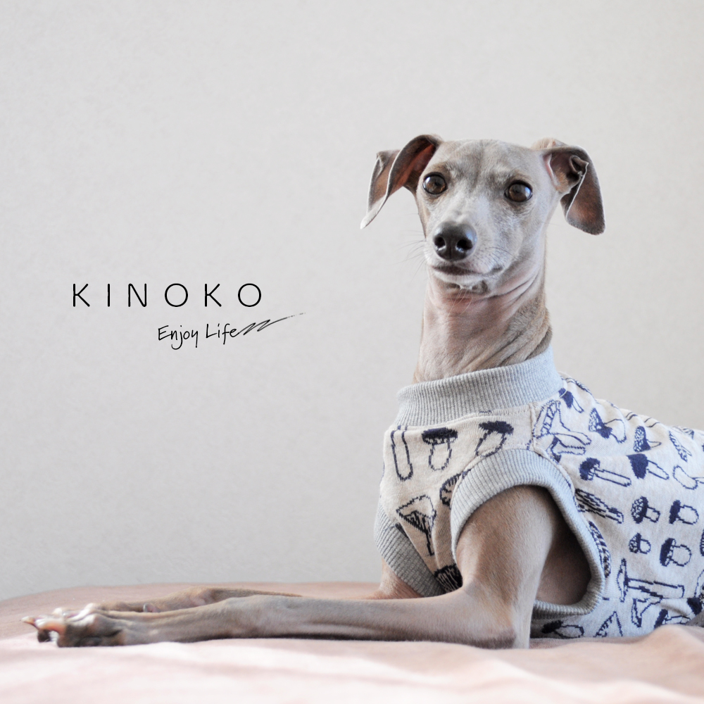 「真冬に “ぽっかぽかストーブ” のお部屋で、ニットのお洋服を着せたくて。」犬服｜KINOKO｜ジャガードニット