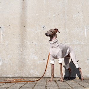 「新作犬服」シンプルで可愛らしい「ミラノリブ」のお洋服|ミラノに魅せられて