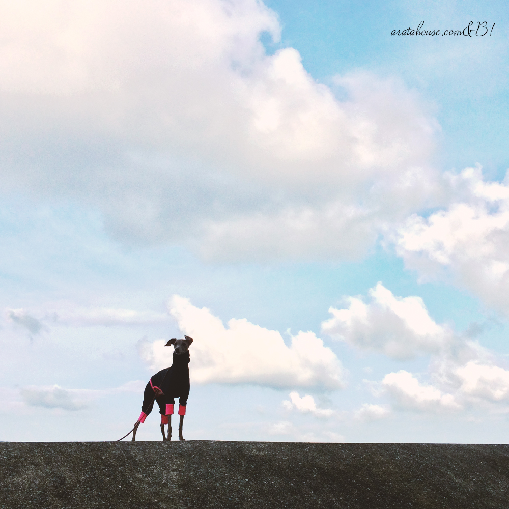 11月1日に感じたこと。「行動しない勇気」