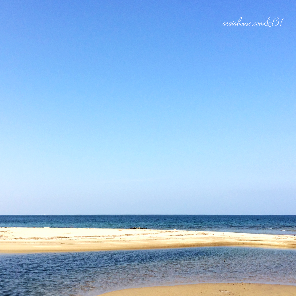 「淡路島の暮らし」イタグレBuono!と海辺をちょこっと散歩、鰯の大群にBuono!は!?