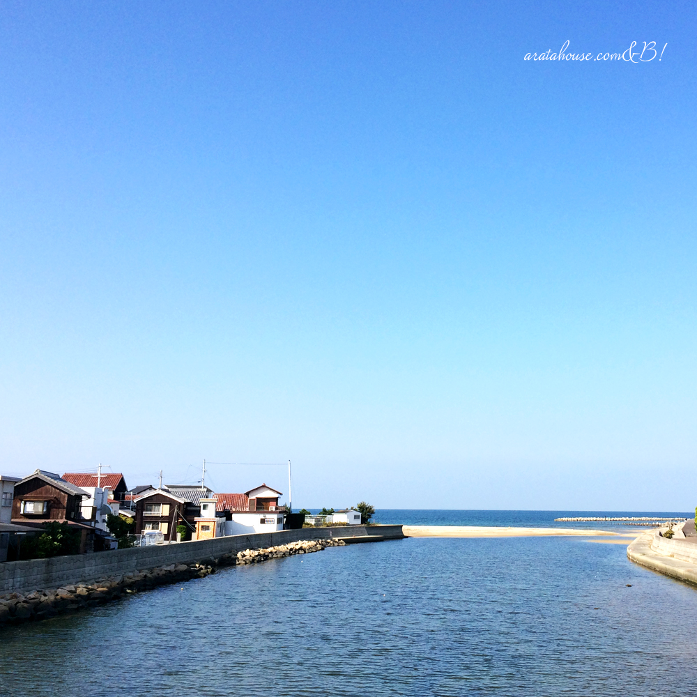 「淡路島の暮らし」イタグレBuono!と海辺をちょこっと散歩、鰯の大群にBuono!は!?