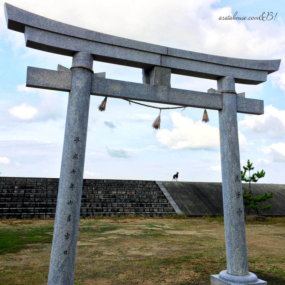 11月1日に感じたこと。「行動しない勇気」