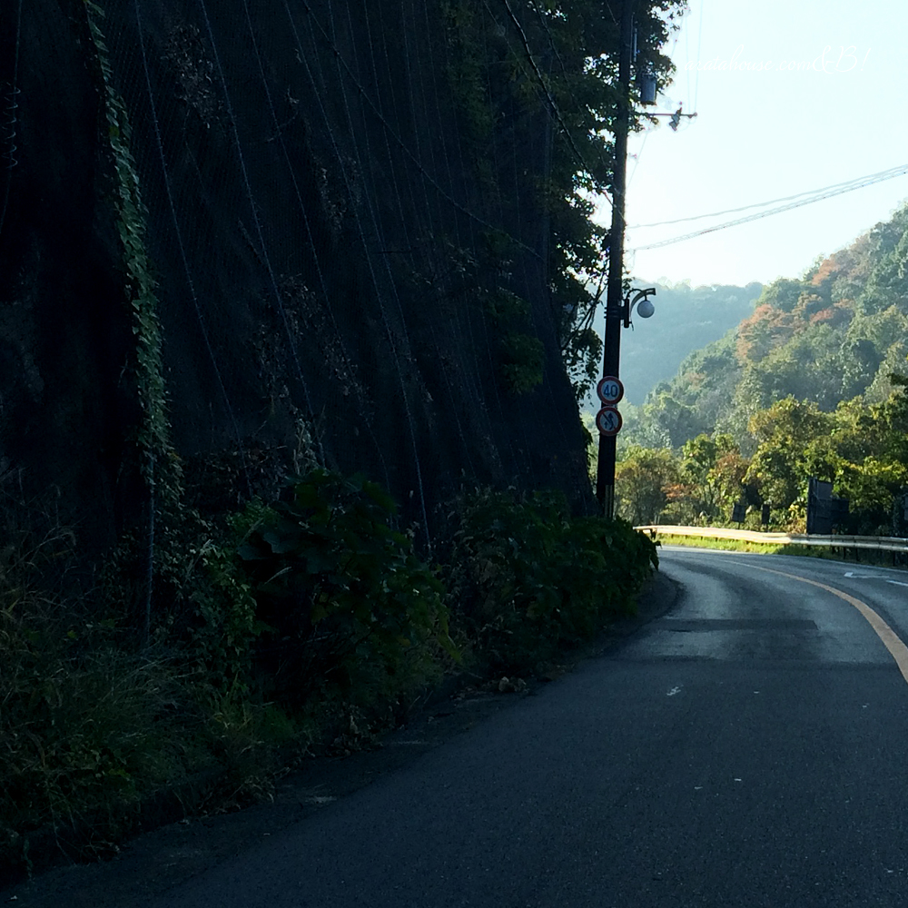 日曜日の朝から行列が出来る「淡路島のふるさと農産物直売所」