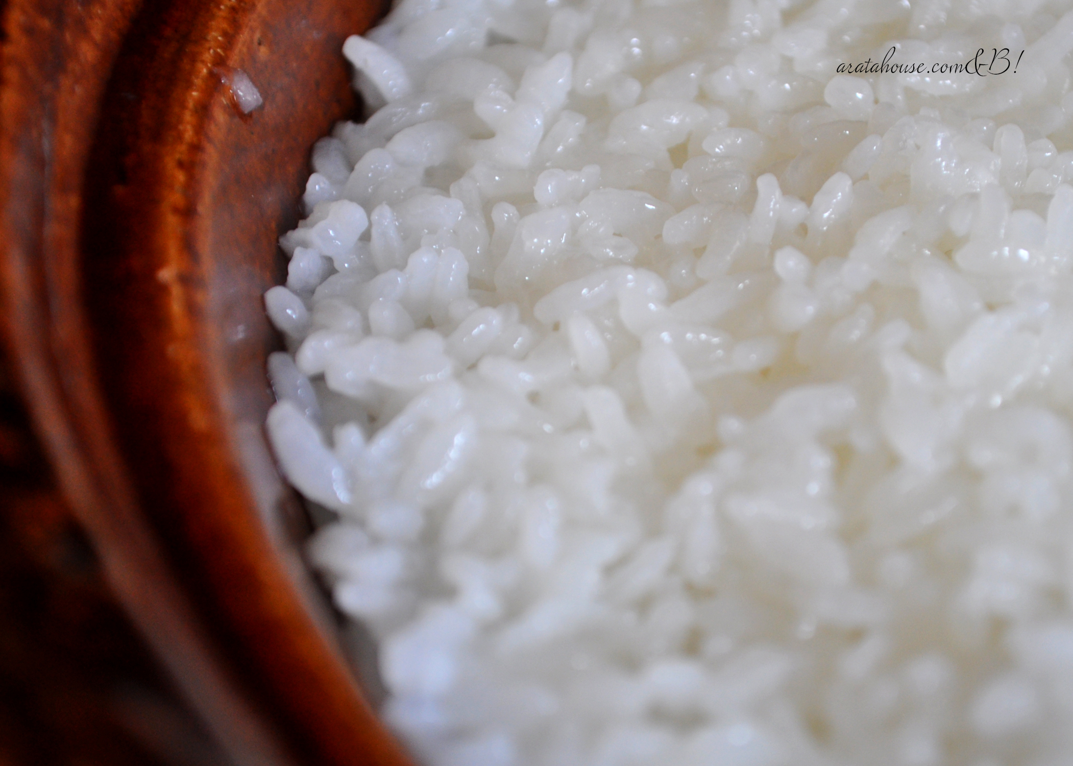 淡路島食材をふんだん使った「俺の昼飯」烏賊フライ、鯵フライ、コロッケ、レタス、白飯
