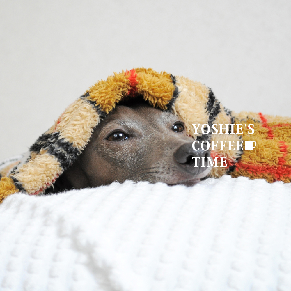 YOSHIE'S COFFEE TIME-チョコと、coffeeと、まめ。